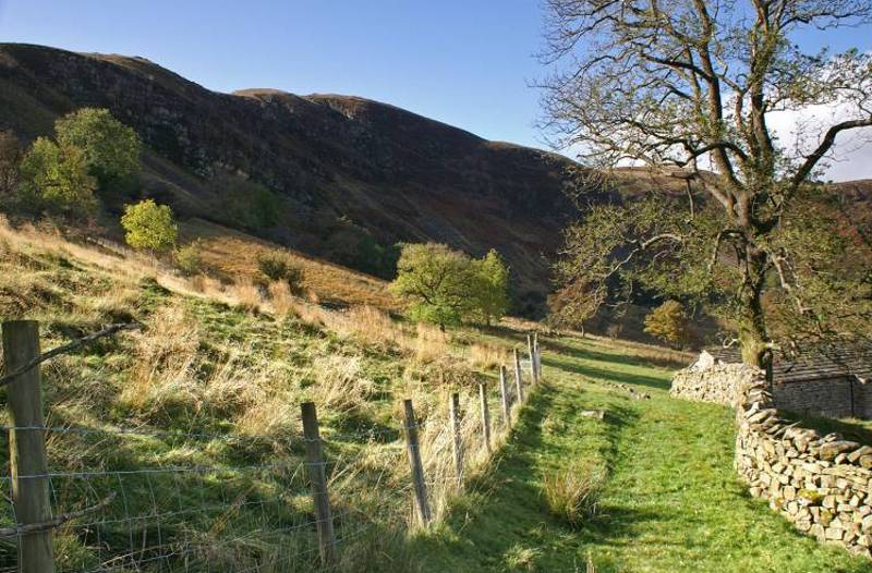 Under Combe Scar. 